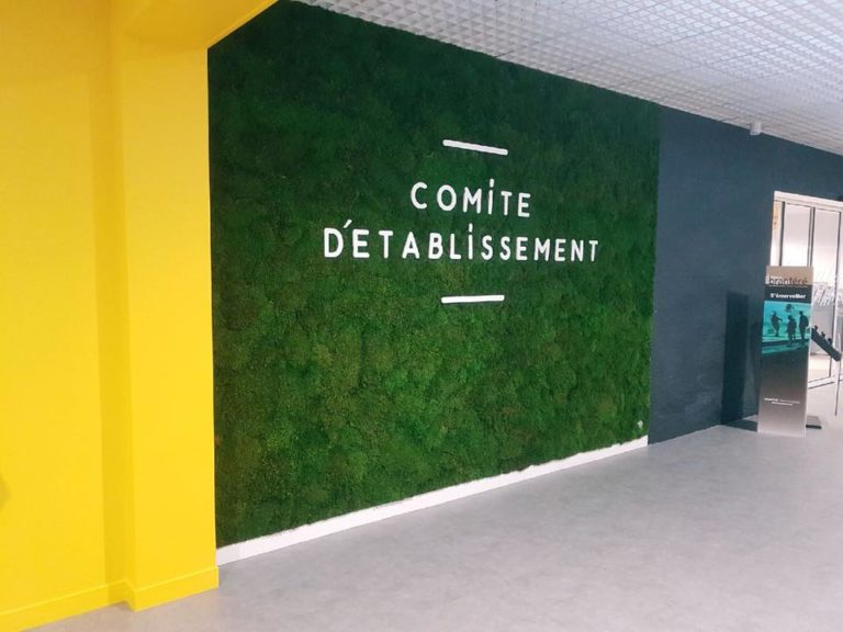 Décoration murale – Végétal – Cap’ Signalétique