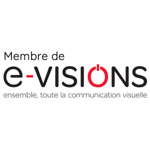 e-visions